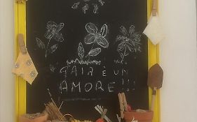 CASA GAIA - Limoncello